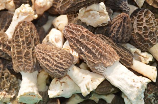 20171116144436913691 20171116144436913691