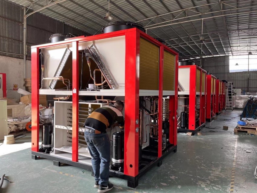 mushroom dryer mushroom dryer